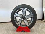 Ford Focus 2023 Harmaa