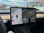 Tesla Model 3 2021 Valkoinen