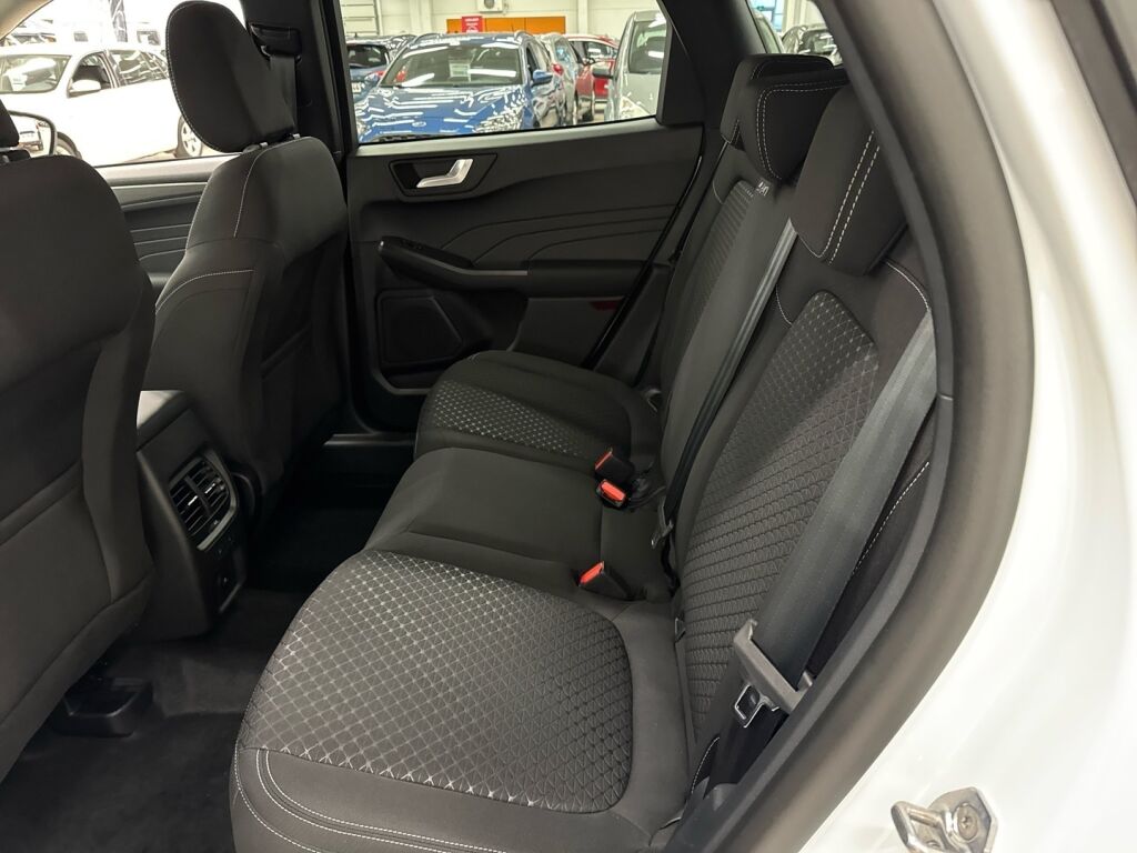 Ford Kuga 2026 Valkoinen