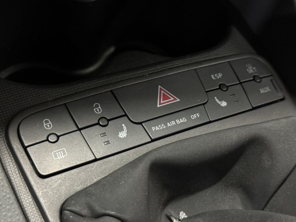 Seat Ibiza 2010 Harmaa