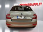 Skoda Octavia 2014 Ruskea (beige)