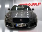 Jaguar XE 2019 Harmaa