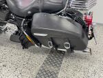 Harley-davidson TOURING 2009 