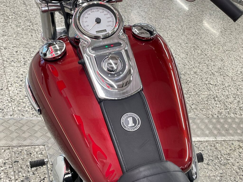 Harley-davidson DYNA 2010 