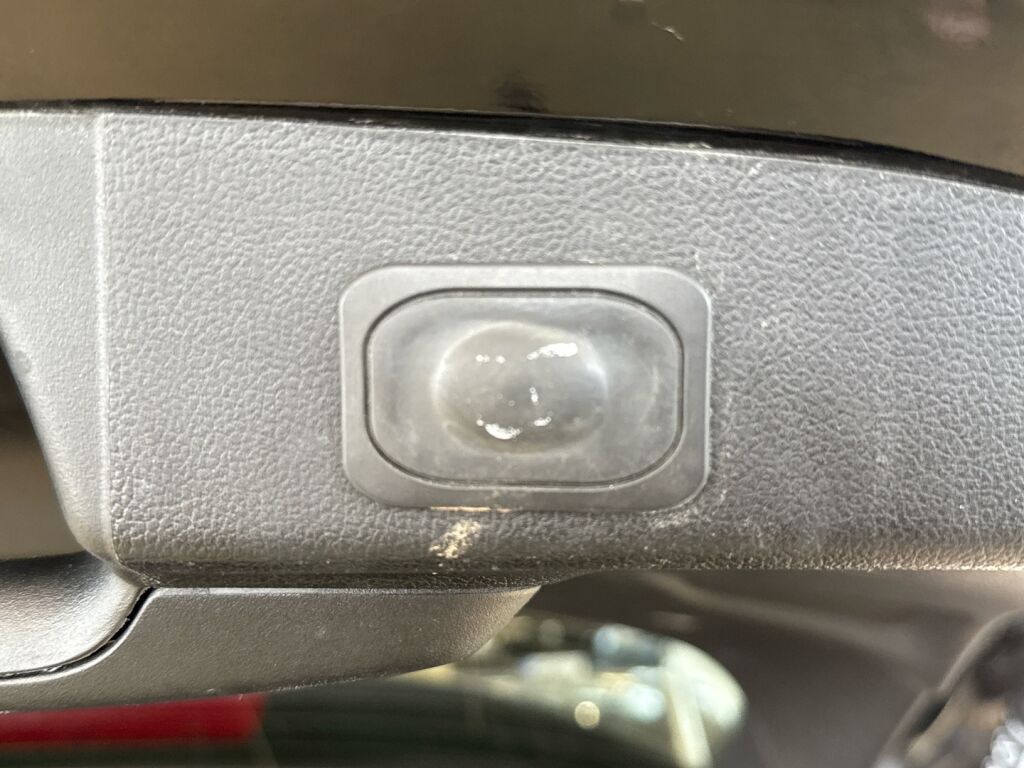 Ford Focus 2019 Musta