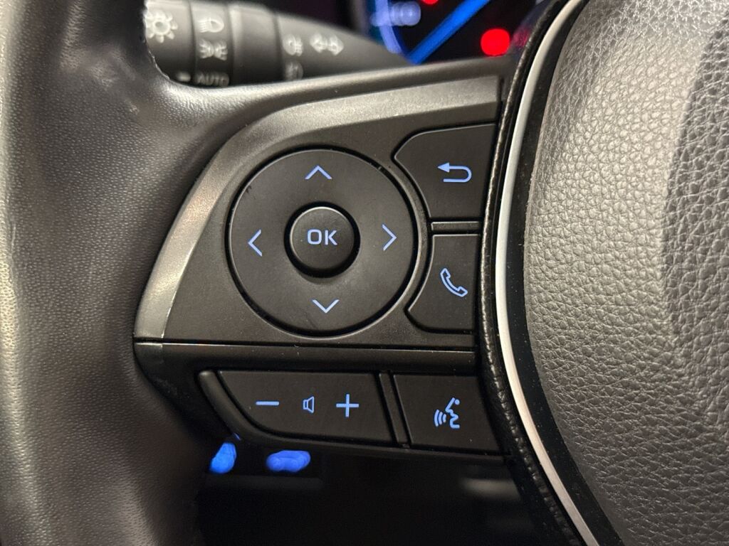 Toyota RAV4 2020 Hopea