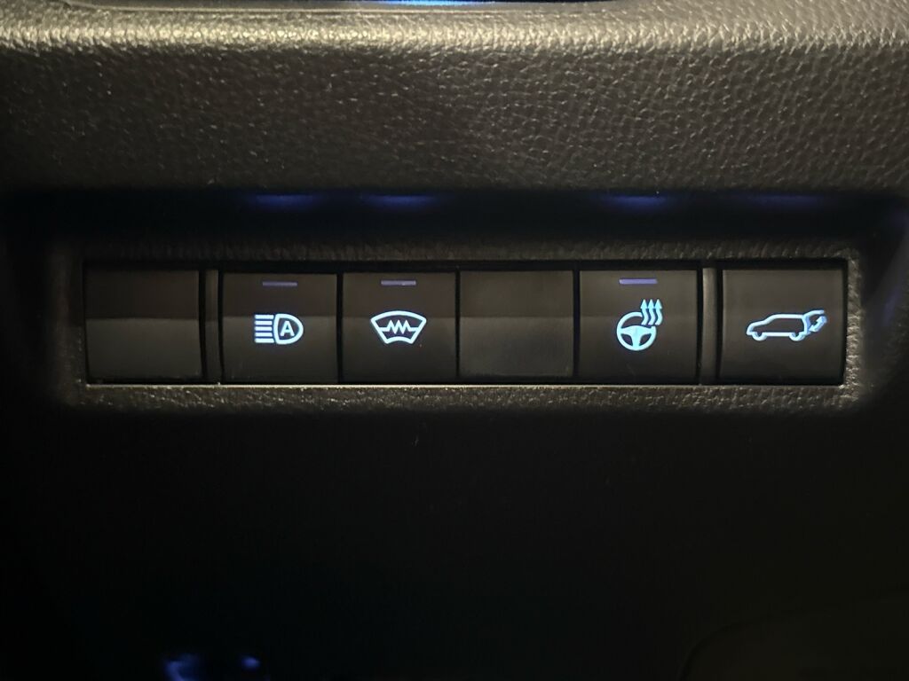 Toyota RAV4 2020 Hopea