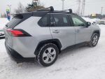 Toyota RAV4 2020 Hopea