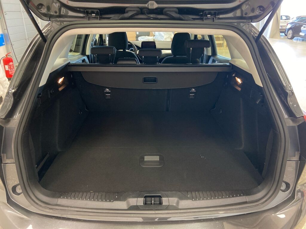 Ford Focus 2021 Harmaa