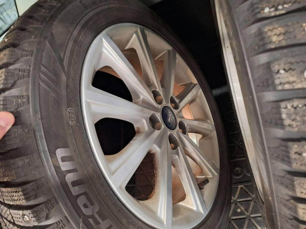 Ford Focus 2014 Sininen