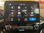 Ford Fiesta 2018 Harmaa