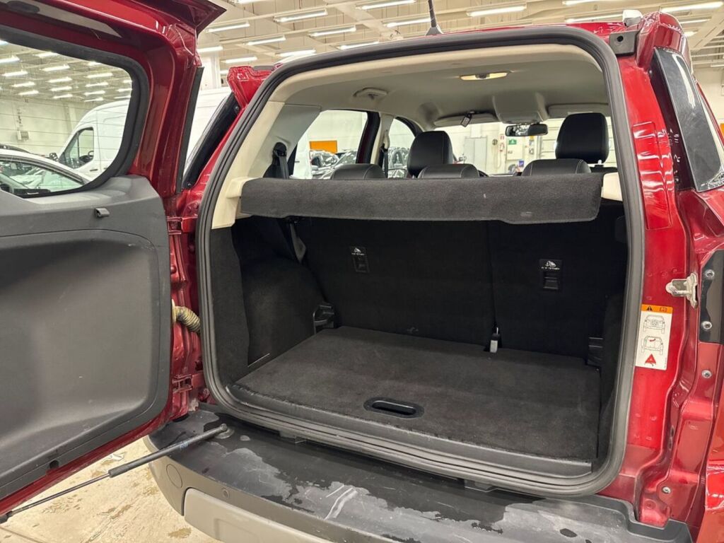 Ford Ecosport 2019 Punainen
