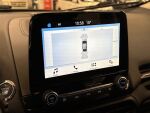Ford Ecosport 2019 Punainen