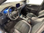Ford Kuga 2020 Sininen