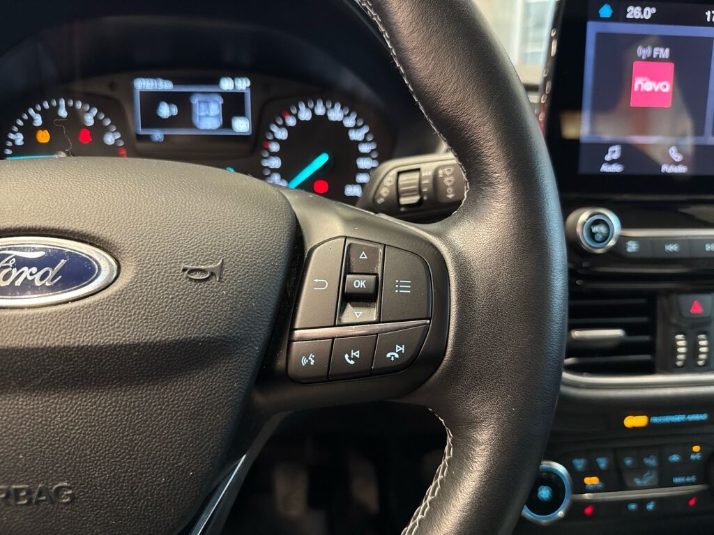 Ford Fiesta 2020 Harmaa