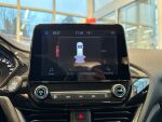 Ford Fiesta 2020 Harmaa
