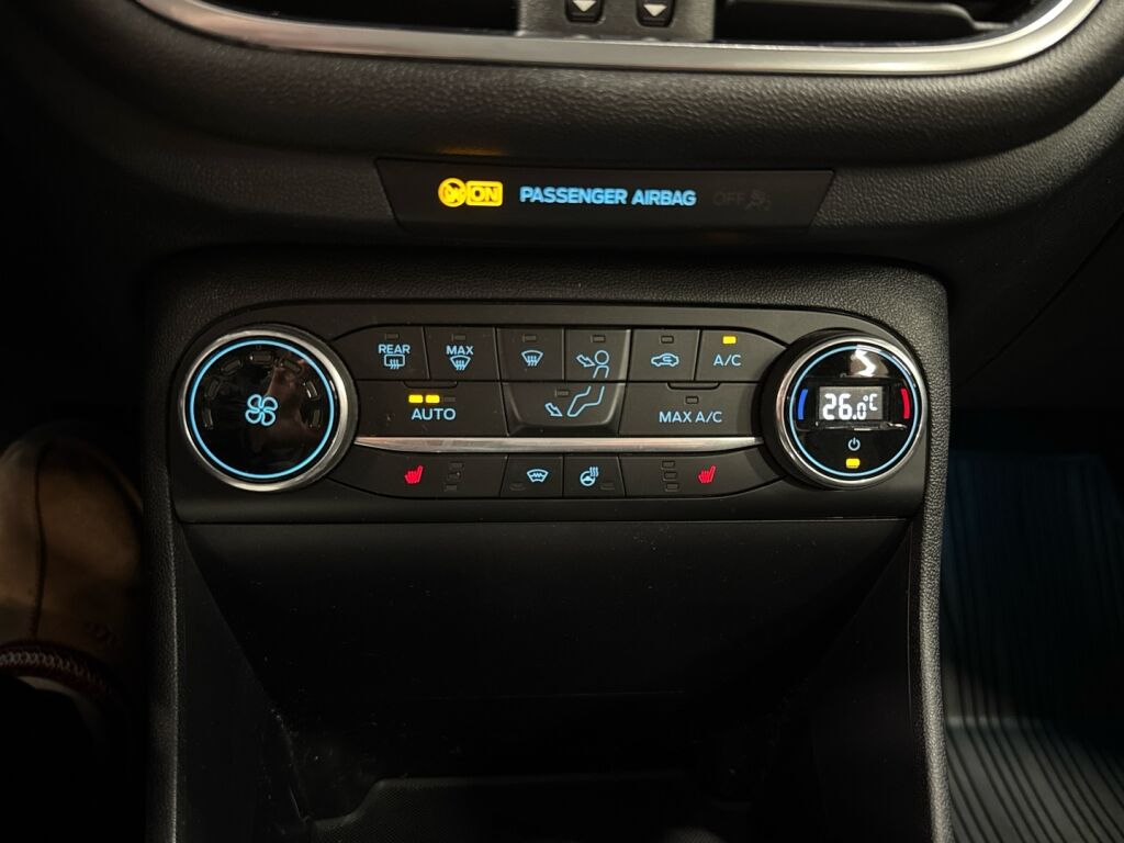 Ford Fiesta 2020 Harmaa