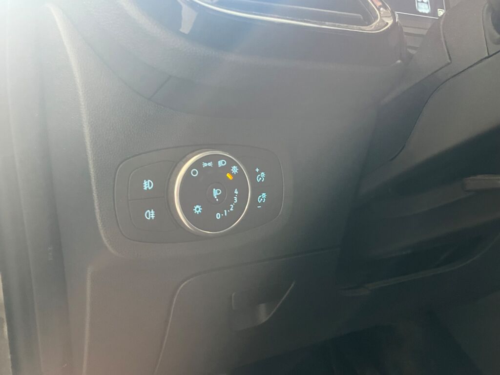 Ford Fiesta 2020 Harmaa