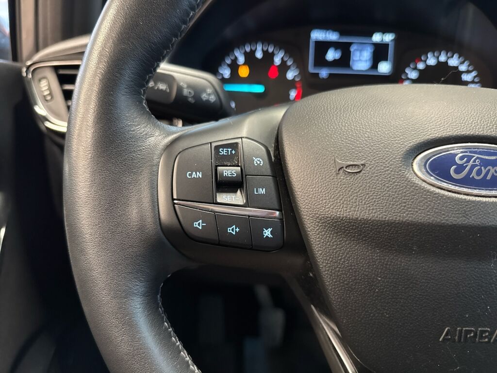 Ford Fiesta 2020 Harmaa