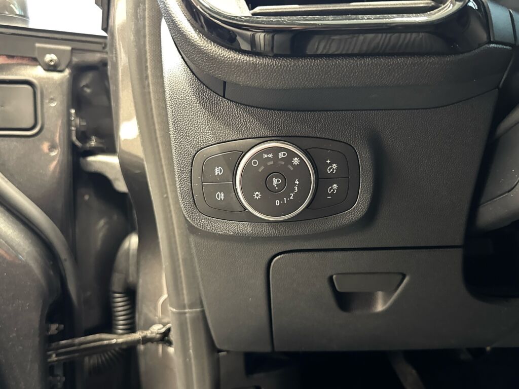 Ford Fiesta 2020 Harmaa