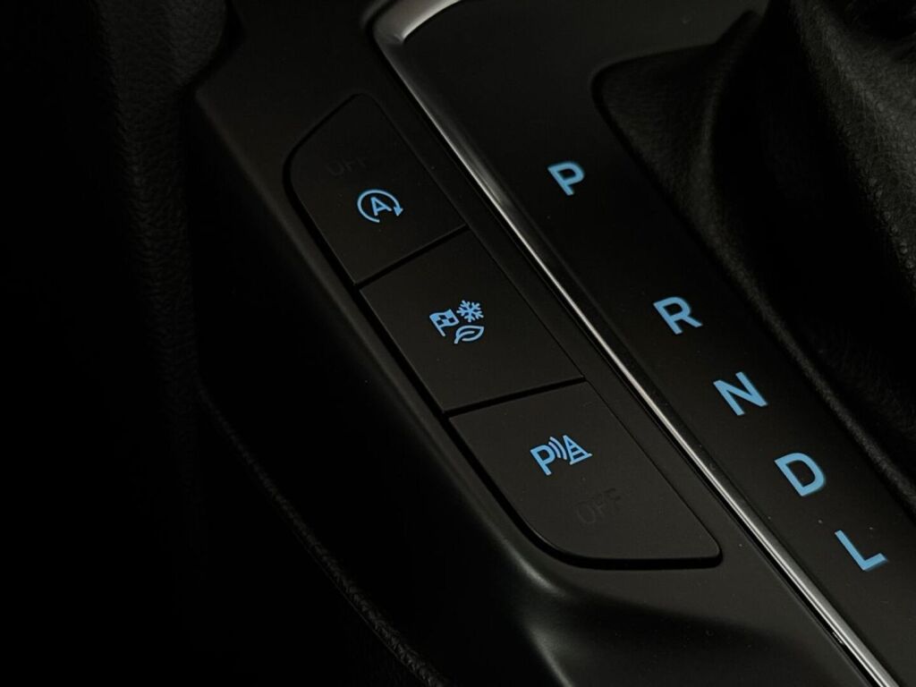 Ford Focus 2022 Punainen