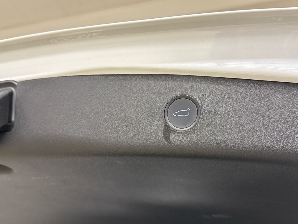 Tesla Model 3 2021 Valkoinen