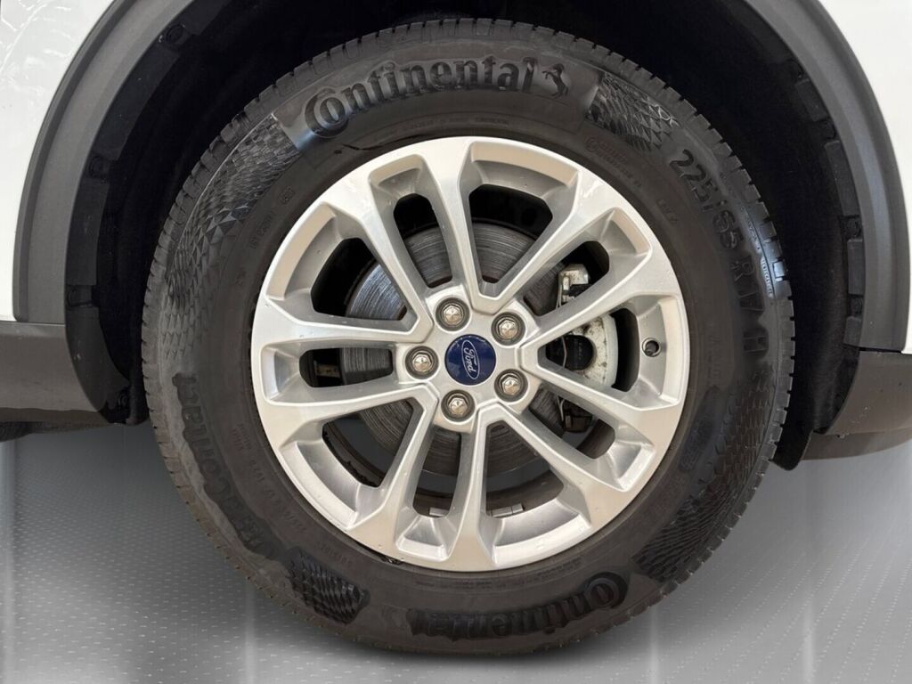Ford Kuga 2022 Valkoinen