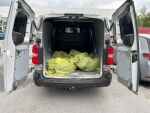 Toyota Proace 2019 Hopea
