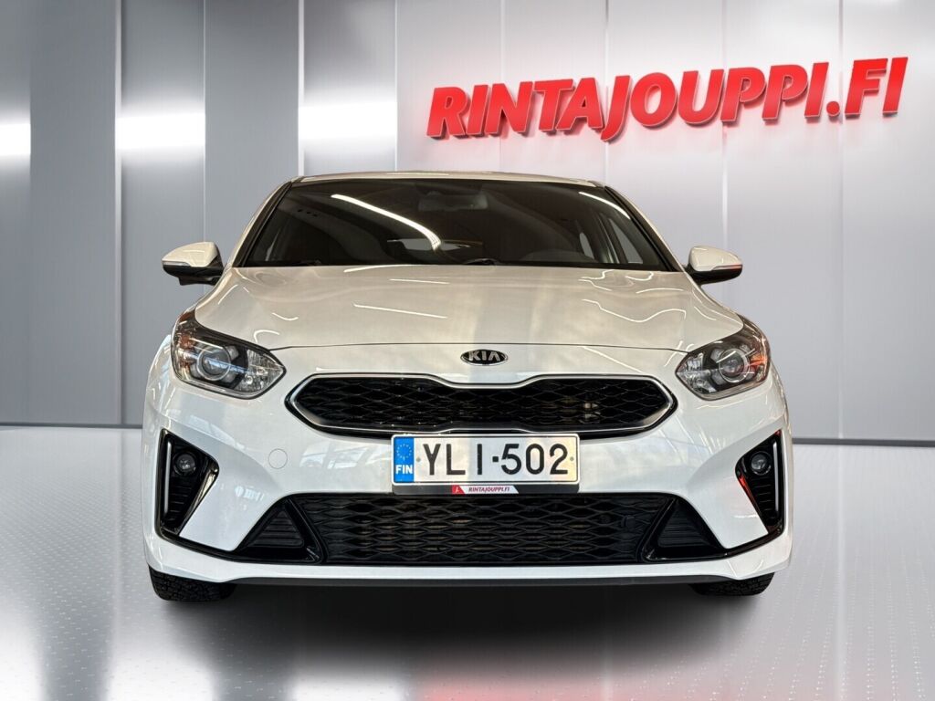 Kia ProCeed 2019 Valkoinen