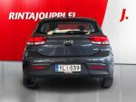 Kia Rio 2019 Harmaa