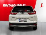 Honda CR-V 2019 Valkoinen