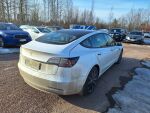 Tesla Model 3 2021 Valkoinen