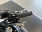 Harley-davidson SOFTAIL 2000 