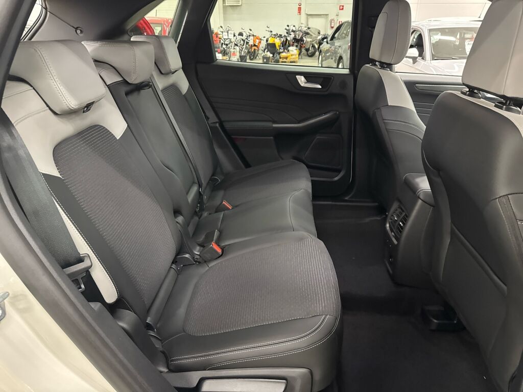 Ford Kuga 2026 Valkoinen