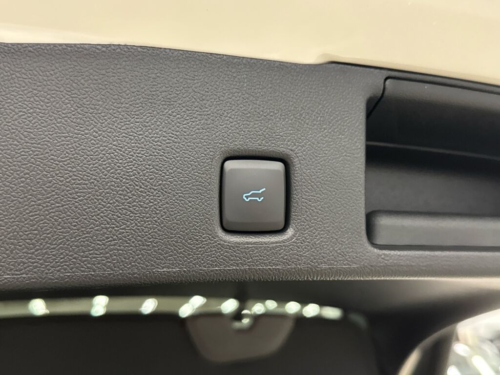 Ford Kuga 2026 Valkoinen