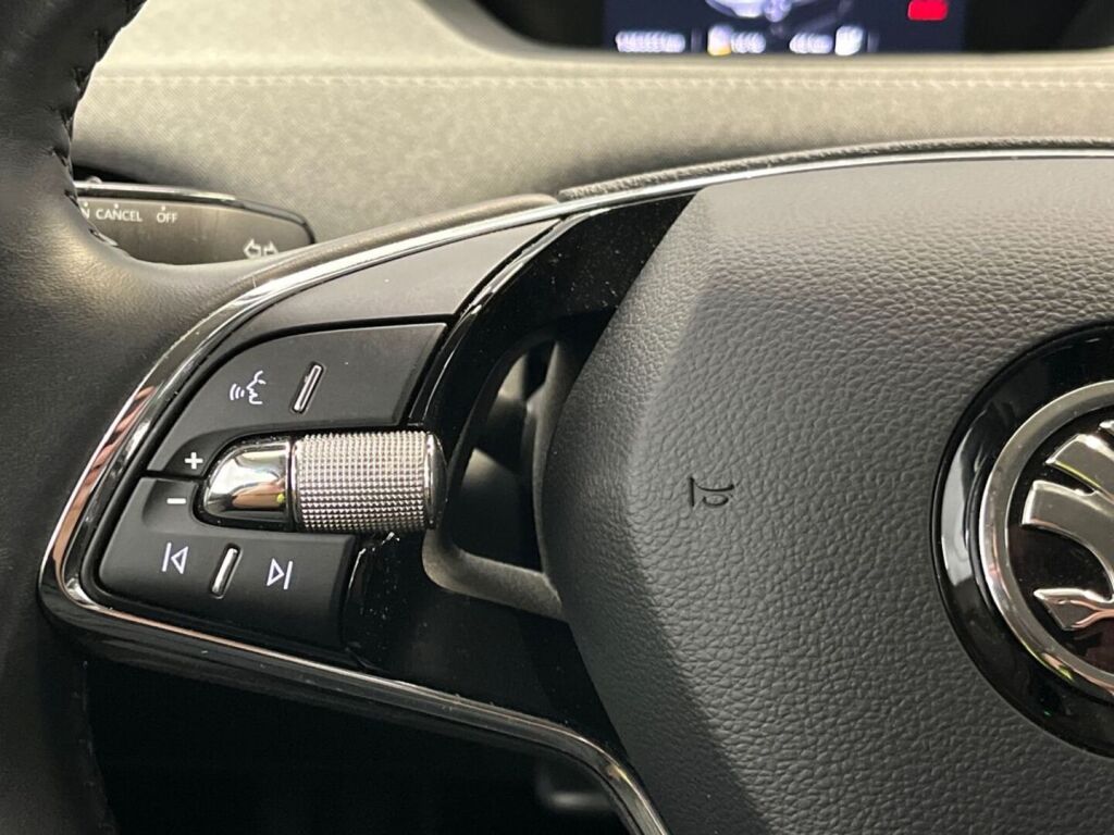 Skoda Enyaq 2022 Sininen