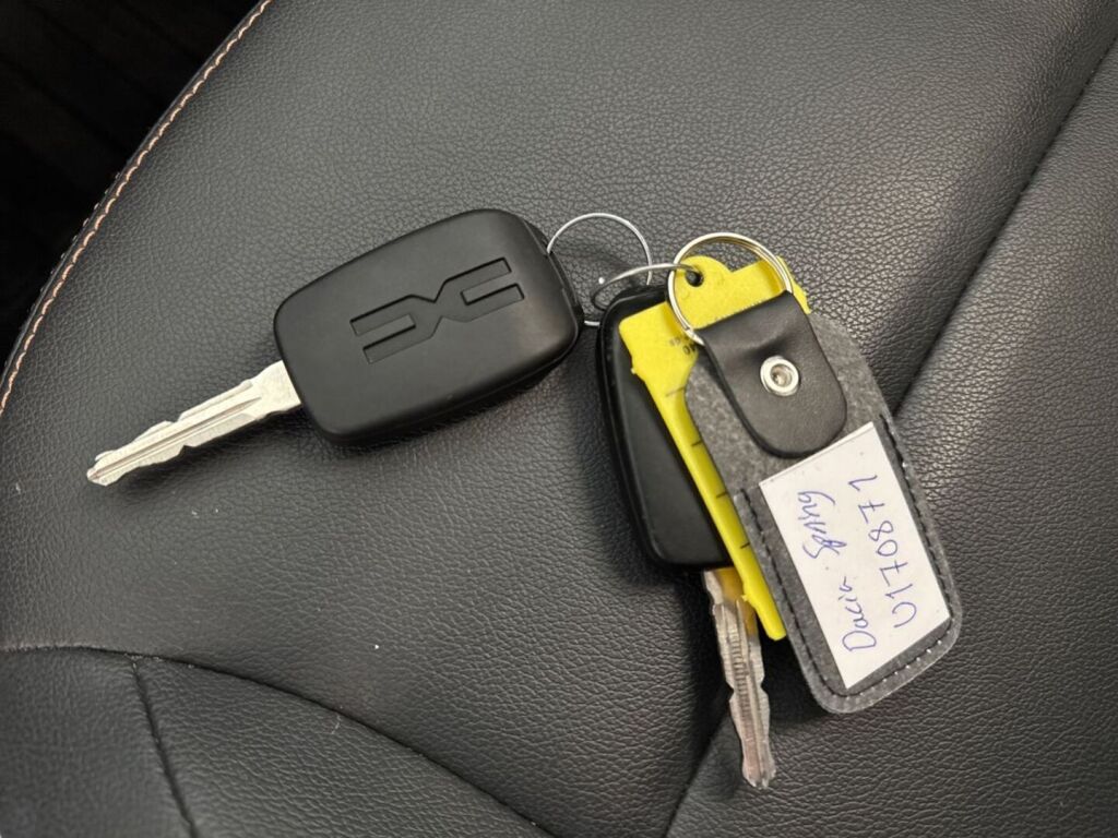 Dacia SPRING 2024 