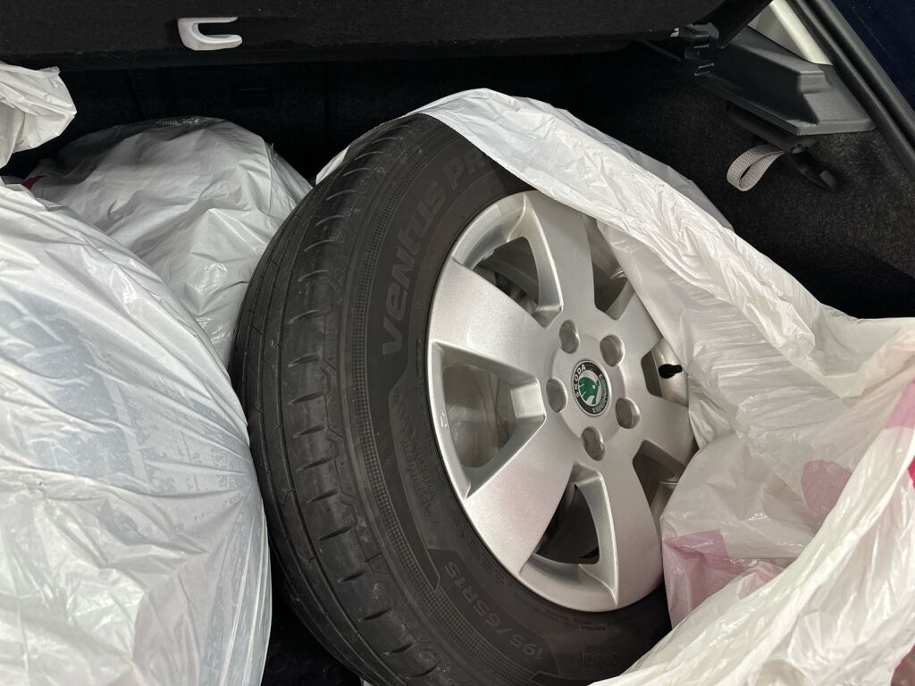 Skoda Octavia 2010 Sininen