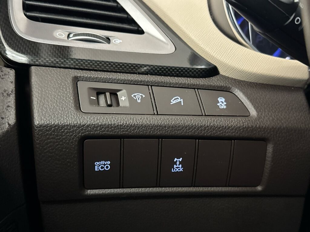 Hyundai Santa Fe 2013 Ruskea (beige)