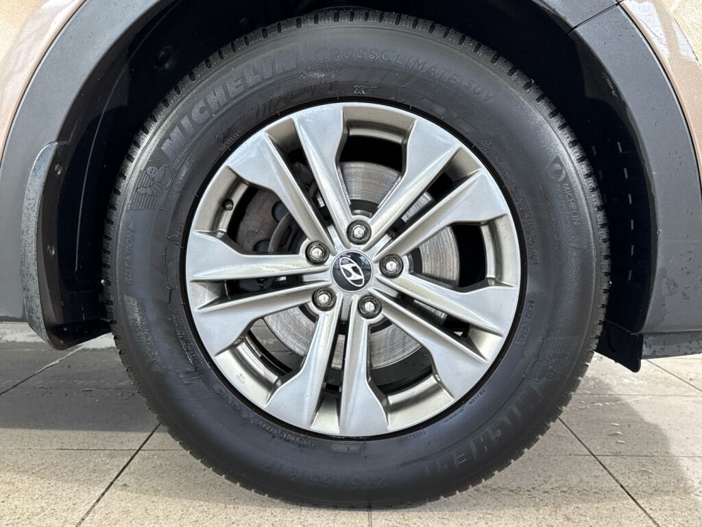 Hyundai Santa Fe 2013 Ruskea (beige)