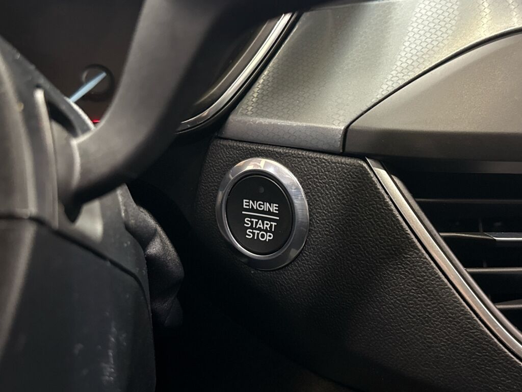 Ford Focus 2020 Punainen