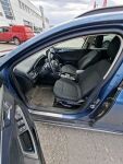Ford Focus 2020 Sininen