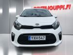 Kia Picanto 2020 Valkoinen