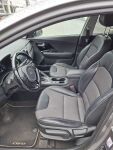 Kia Niro plug-in 2019 Ruskea (beige)
