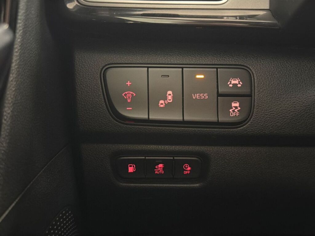 Kia Niro plug-in 2019 Ruskea (beige)