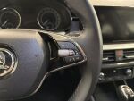 Skoda Kamiq 2024 Harmaa