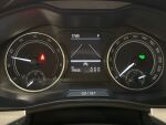 Skoda Kamiq 2024 Harmaa