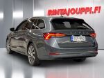 Skoda Octavia 2021 Harmaa