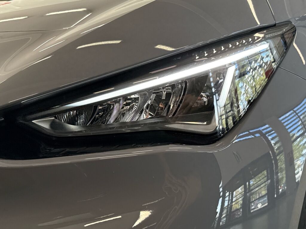 Cupra Born 2024 Harmaa