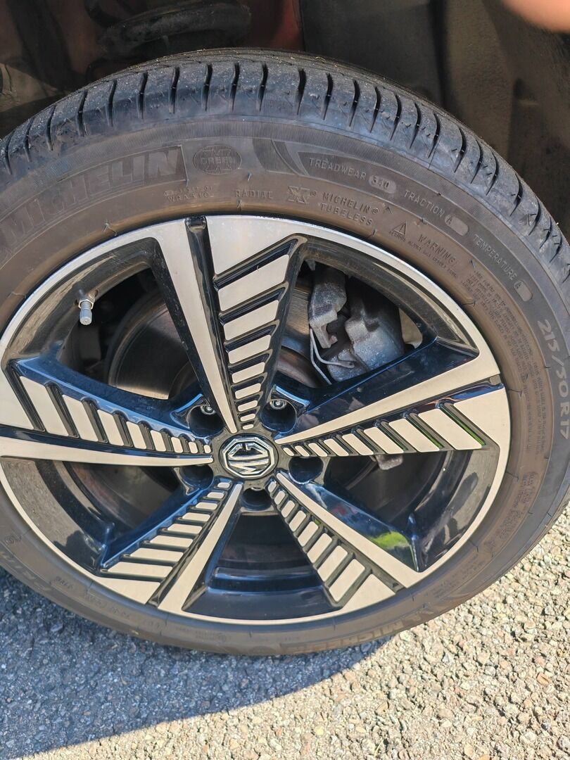 Mg ZS 2021 
